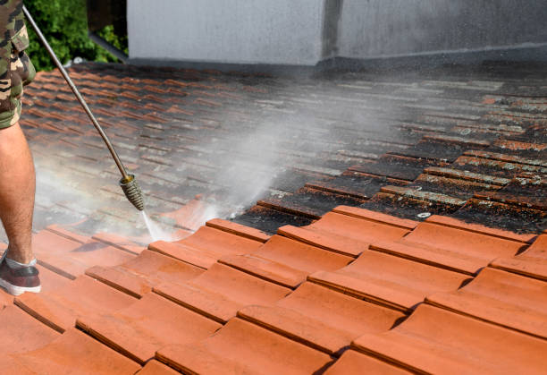 Best House Pressure Washing  in Berwyn, IL