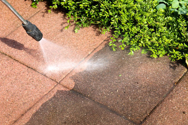 Best Power Washing Near Me  in Berwyn, IL