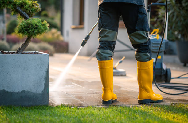 Best Exterior Home Cleaning  in Berwyn, IL